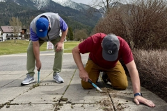 Clean-Up-2026-04-12_-_009