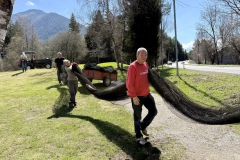 Clean-Up-2026-04-17_-_027