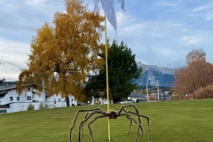 2025-halloweenturnier-2025-10-31_kl_038